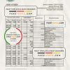 South Sudan Ivory Bank statement, Excel and PDF template