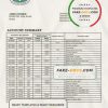 South Sudan Ivory Bank statement template in Word and PDF format