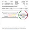 Spain ING Direct bank statement template in Word and PDF format, 3 pages