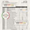 Sri Lanka People’s Bank statement, Excel and PDF template