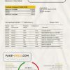 Sri Lanka Bank of Ceylon bank statement easy to fill template in .xls and .pdf file format