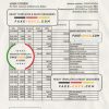 Sudan Al Neelen Bank statement, Excel and PDF template