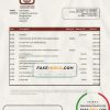 Sudan National Bank of Sudan bank statement easy to fill template in Excel and PDF format