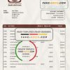 Sudan National Bank of Sudan bank statement template in Word and PDF format