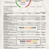 Switzerland UBS bank proof of address statement template in Word and PDF format, version 1