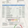 Tajikistan The First MicroFinance (FMFB) Bank statement template in .xls and .pdf file format