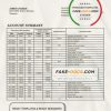 Tanzania Access Bank statement template in Word and PDF format