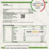 Togo Financial Bank statement template in Word and PDF format