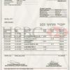 Turkey HSBC bank statement template in Word and PDF format