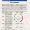 UAE Abu Dhabi NBD bank statement easy to fill template in Excel and PDF format