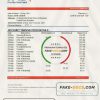 UAE First Abu Dhabi Bank statement easy to fill template in .xls and .pdf file format