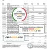 UAE Mashreq bank statement template in Excel and PDF format, 3 pages