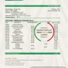 Uganda Bank of Africa bank statement template in .xls and .pdf file format