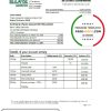 Nicaragua Banco Lafise Bancentro bank statement template, Excel and PDF format (.xls and .pdf)