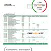 Niger Bank of Africa bank statement template in Word and PDF format