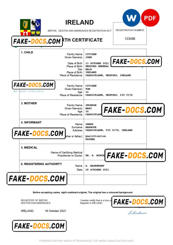 Ireland birth certificate Word and PDF template, completely editable