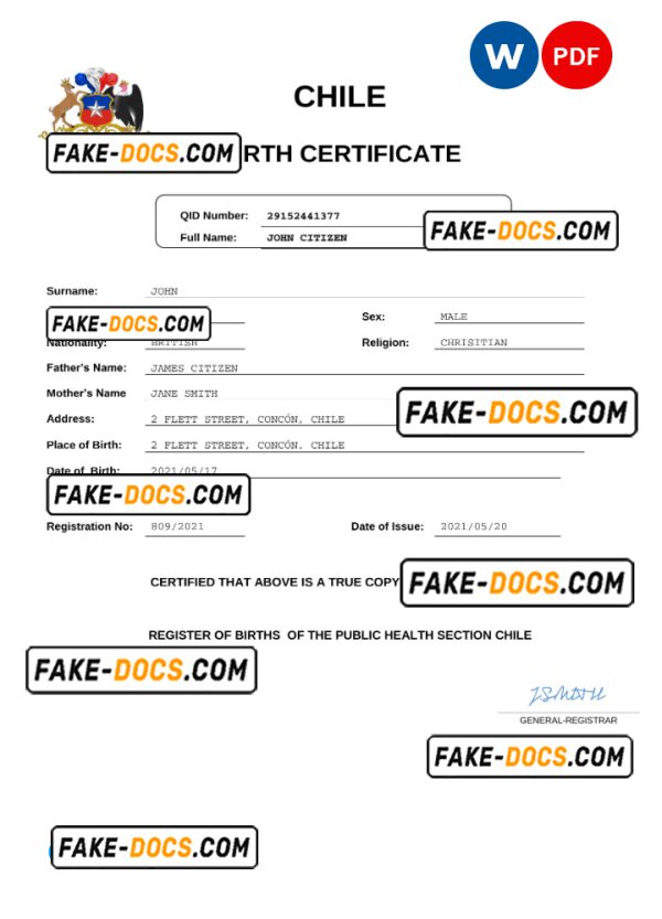 Chile vital record birth certificate Word and PDF template, completely editable
