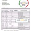 Pakistan Meezan bank statement template in Word and PDF format