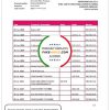 Paraguay Vision Banco bank statement template in Word and PDF format