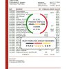 Philippines Bank of the Philippine bank statement easy to fill template in Excel and PDF format