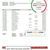 Philippines Bank of the Philippine Islands bank statement template in Word and PDF format