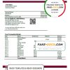 Poland Alior bank statement template in Word and PDF format