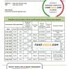 Mali Banque Commerciale du Sahel bank statement template in Word and PDF format, .doc and .pdf format