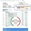 Qatar Ahlibank statement easy to fill template in Excel and PDF format