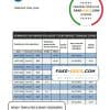Qatar Qatar Islamic Bank statement template in Word and PDF format