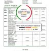 Romania CEC Bank statement easy to fill template in Excel and PDF format