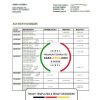 Romania CEC Bank statement template in Word and PDF format