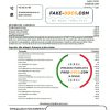 Romania Raiffeisen bank statement template in Excel and PDF format (in Romanian language)