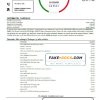 Romania Raiffeisen bank statement template in Word and PDF format (in Romanian language)