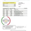 Russia Tinkoff bank proof of address statement (English version) template in Excel and PDF format