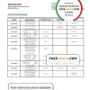 Saint Kitts and Nevis The Bank of Nevis bank proof of address statement template in Word and PDF format