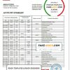 Saint Vincent and The Grenadines First Caribbean International Bank statement template in Excel and PDF format