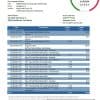 San Marino Banca di San Marino bank statement easy to fill template in Excel and PDF format