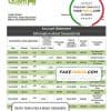 Marshall Islands Bank of Guam bank statement template in Word and PDF format
