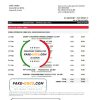 Serbia Societe Generale bank statement easy to fill template in .xls and .pdf format