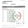 Singapore DBS bank proof of address statement template in .xls and .pdf format