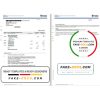 Singapore DBS bank statement template in Word and PDF format, 2 pages