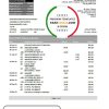 Singapore HSBC bank statement template fully editable in PSD format
