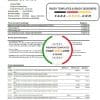 Slovakia Raiffeisen Bank statement easy to fill template in Excel and PDF format