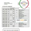 Slovakia Tatra Bank statement template, Word and PDF format (.doc and .pdf)