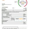 Mauritius Bank of Boroda bank statement template in Word and PDF format