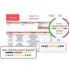 Slovenia Addiko bank statement template in Word and PDF format
