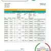 South Africa First National Bank (FNB) bank statement easy to fill template in Excel and PDF format
