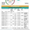 South Africa First National Bank (FNB) proof of address statement template in Word and PDF format