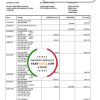 South Africa Imperial Bank statement easy to fill template in Word and PDF format