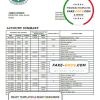 South Sudan Ivory Bank statement template in Word and PDF format